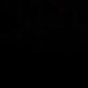 Meet your Posher, Abigail